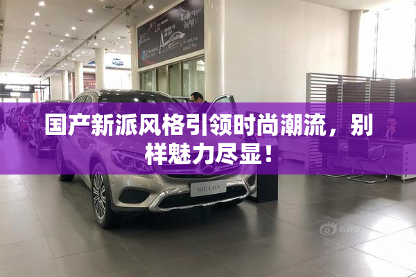 国产新派风格引领时尚潮流，别样魅力尽显！
