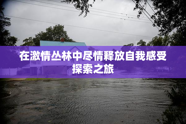 在激情丛林中尽情释放自我感受探索之旅