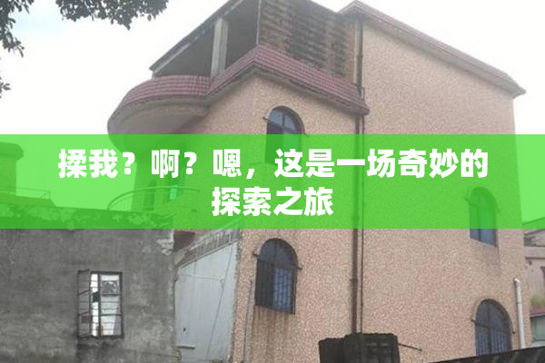 揉我？啊？嗯，这是一场奇妙的探索之旅