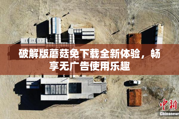 破解版蘑菇免下载全新体验，畅享无广告使用乐趣