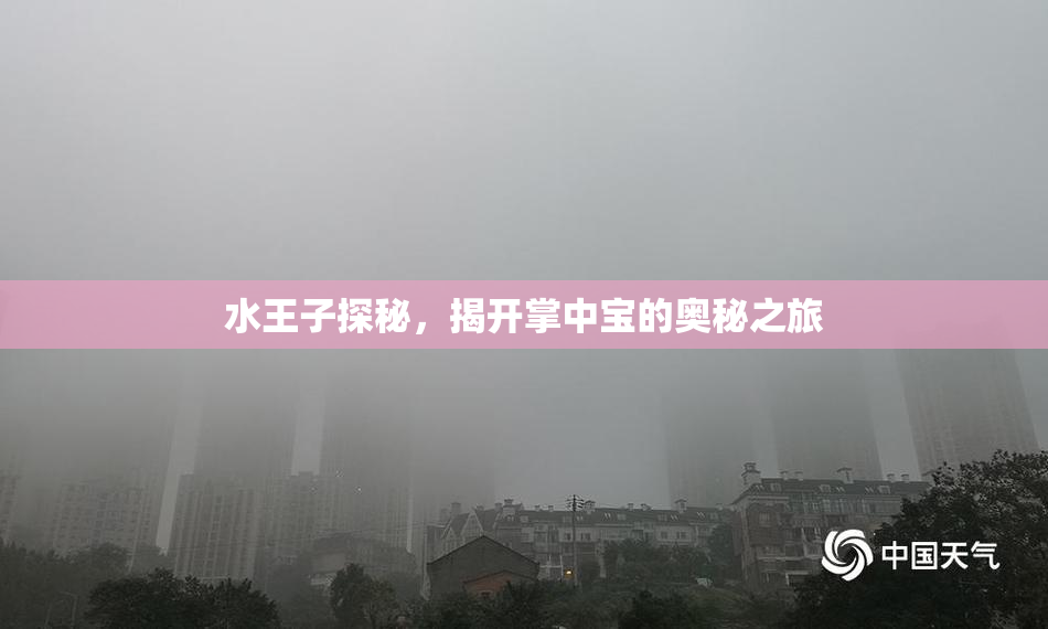 水王子探秘，揭开掌中宝的奥秘之旅