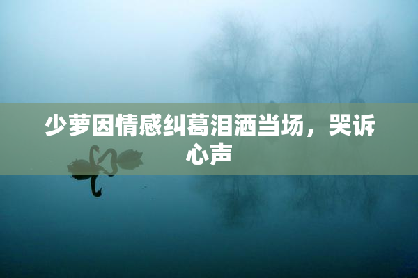 少萝因情感纠葛泪洒当场，哭诉心声