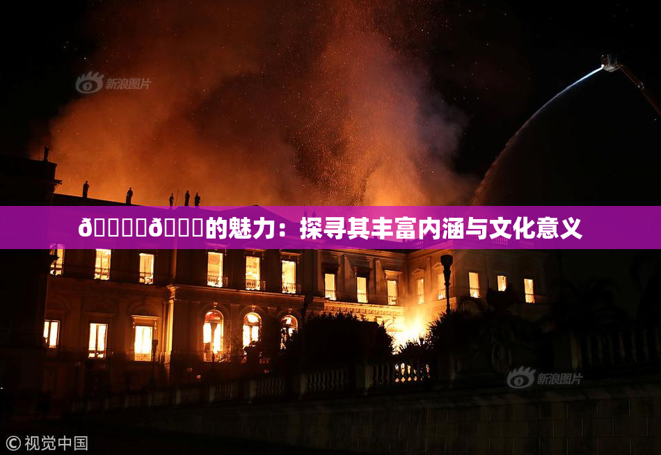 🔞‌🍌的魅力：探寻其丰富内涵与文化意义