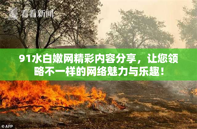 91水白嫩网精彩内容分享，让您领略不一样的网络魅力与乐趣！