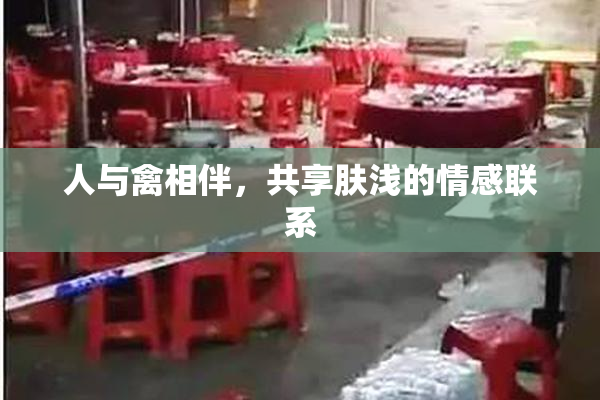 人与禽相伴，共享肤浅的情感联系