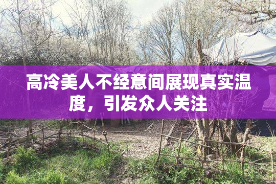 高冷美人不经意间展现真实温度，引发众人关注