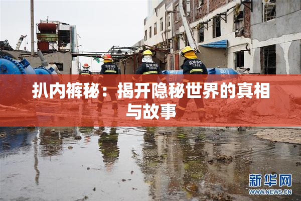 扒内裤秘：揭开隐秘世界的真相与故事