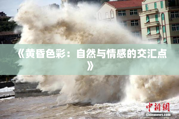 《黄昏色彩：自然与情感的交汇点》
