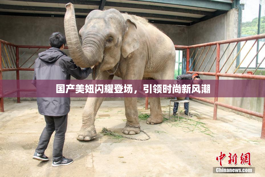 国产美妞闪耀登场，引领时尚新风潮