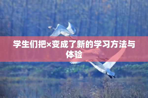 学生们把×变成了新的学习方法与体验