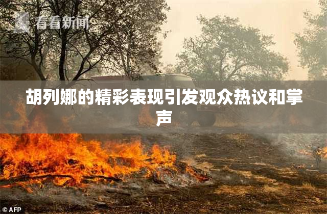胡列娜的精彩表现引发观众热议和掌声