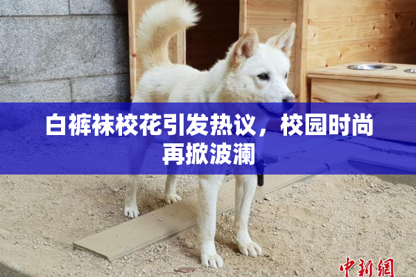 白裤袜校花引发热议，校园时尚再掀波澜