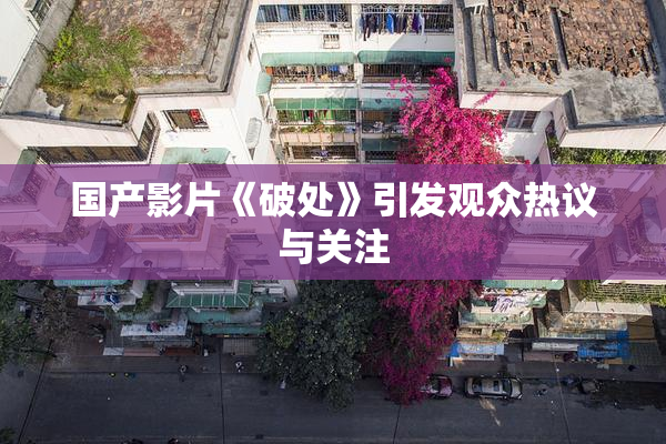 国产影片《破处》引发观众热议与关注
