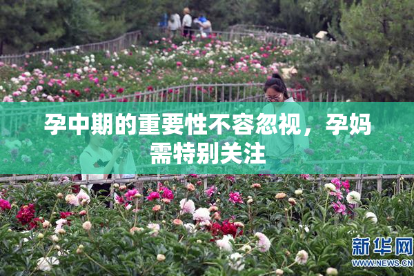 孕中期的重要性不容忽视，孕妈需特别关注