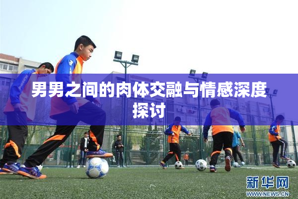 男男之间的肉体交融与情感深度探讨