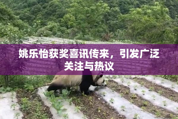 姚乐怡获奖喜讯传来，引发广泛关注与热议