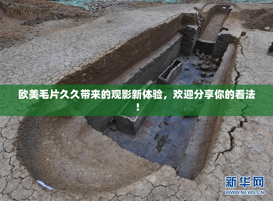 欧美毛片久久带来的观影新体验，欢迎分享你的看法！