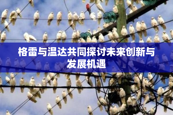 格雷与温达共同探讨未来创新与发展机遇