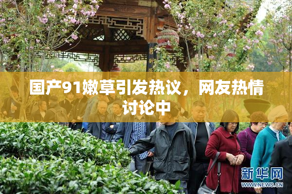 国产91嫩草引发热议，网友热情讨论中