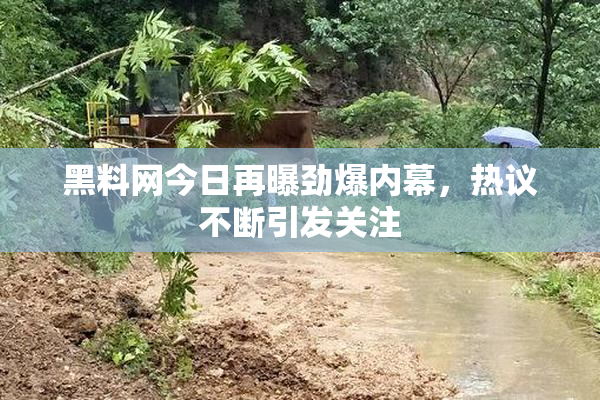 黑料网今日再曝劲爆内幕，热议不断引发关注