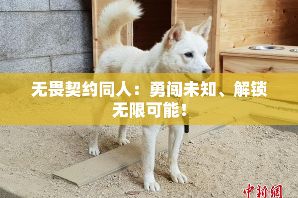 无畏契约同人：勇闯未知、解锁无限可能！