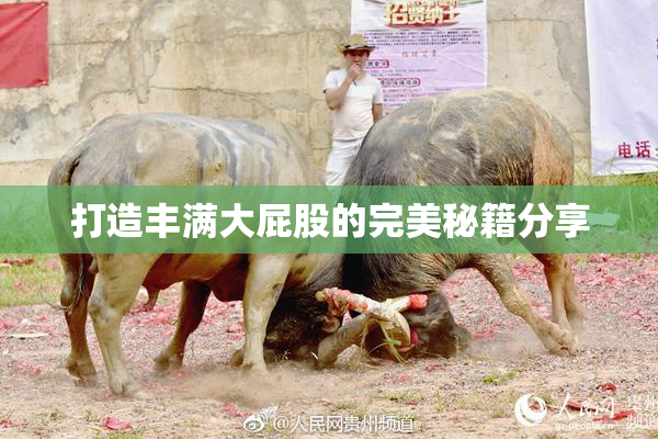 打造丰满大屁股的完美秘籍分享