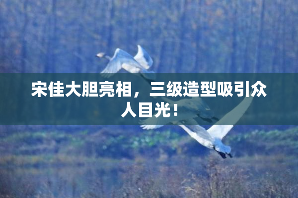 宋佳大胆亮相，三级造型吸引众人目光！