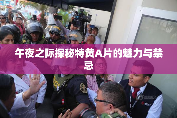 午夜之际探秘特黄A片的魅力与禁忌
