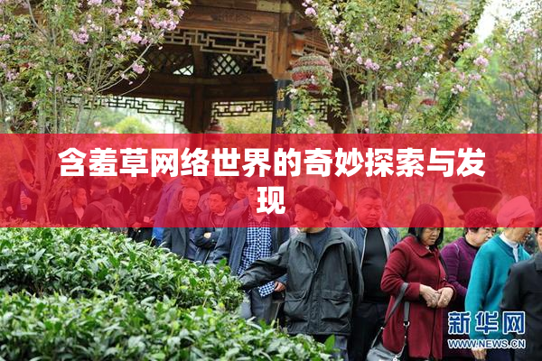 含羞草网络世界的奇妙探索与发现