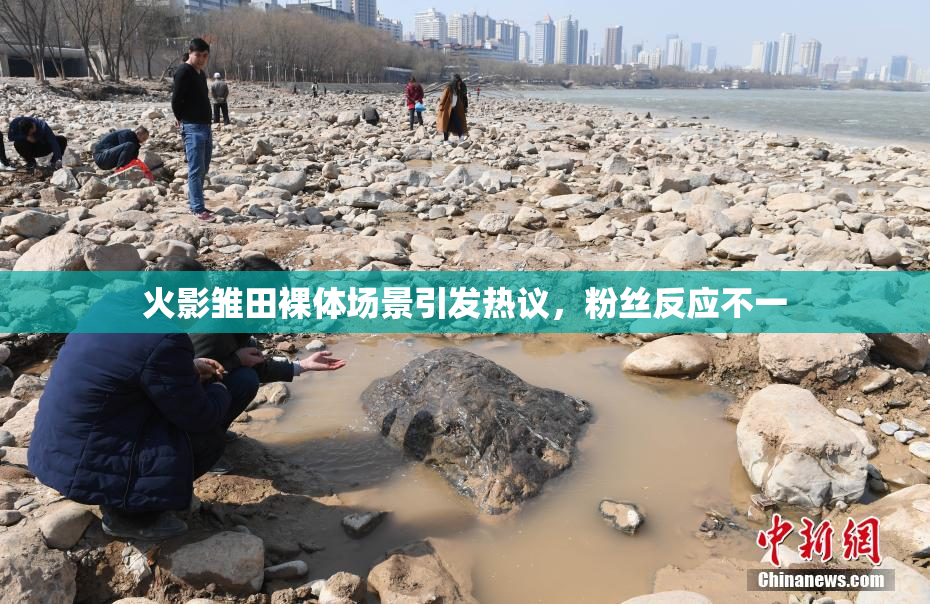 火影雏田裸体场景引发热议，粉丝反应不一