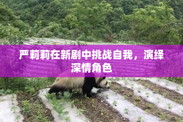 严莉莉在新剧中挑战自我，演绎深情角色