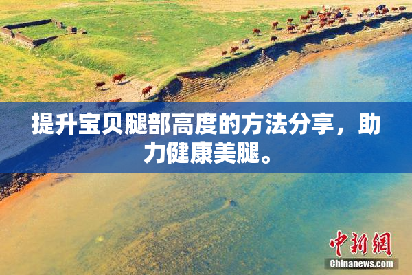 提升宝贝腿部高度的方法分享，助力健康美腿。