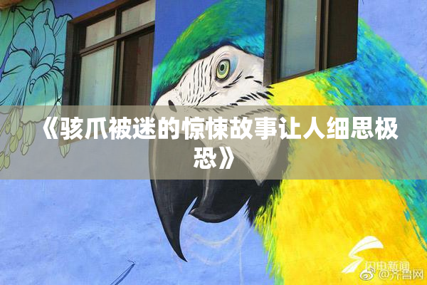 《骇爪被迷的惊悚故事让人细思极恐》