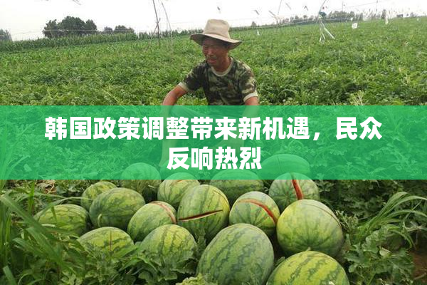 韩国政策调整带来新机遇，民众反响热烈