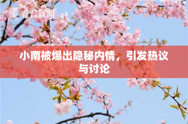 小南被爆出隐秘内情，引发热议与讨论