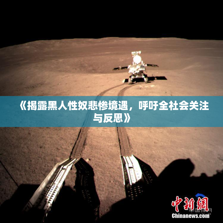 《揭露黑人性奴悲惨境遇，呼吁全社会关注与反思》