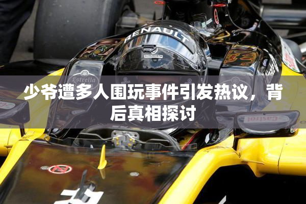 少爷遭多人围玩事件引发热议，背后真相探讨