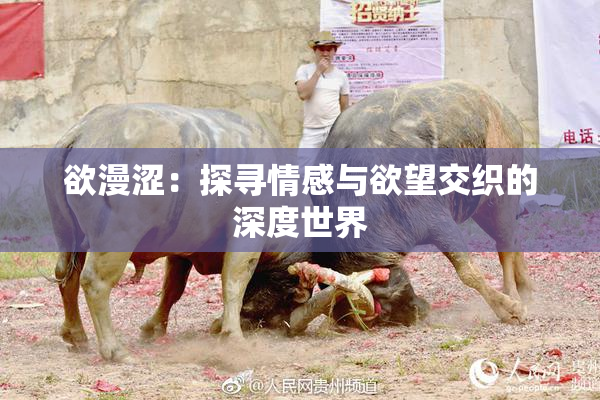 欲漫涩：探寻情感与欲望交织的深度世界
