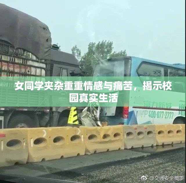 女同学夹杂重重情感与痛苦，揭示校园真实生活