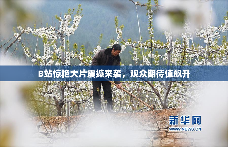B站惊艳大片震撼来袭，观众期待值飙升