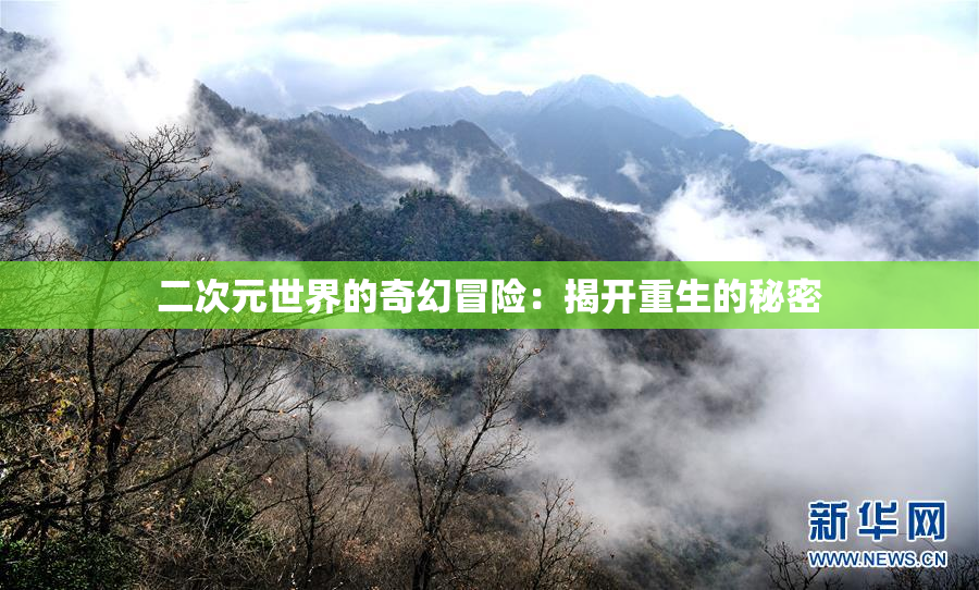 二次元世界的奇幻冒险：揭开重生的秘密