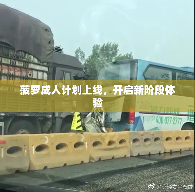 菠萝成人计划上线，开启新阶段体验