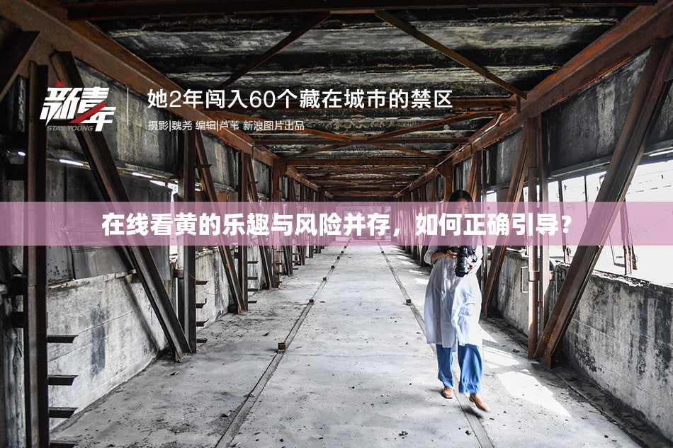 在线看黄的乐趣与风险并存，如何正确引导？