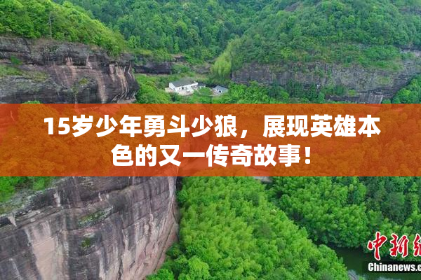 15岁少年勇斗少狼，展现英雄本色的又一传奇故事！