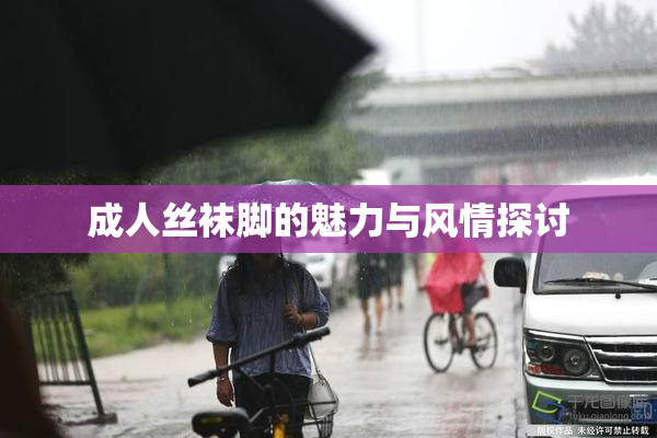 成人丝袜脚的魅力与风情探讨