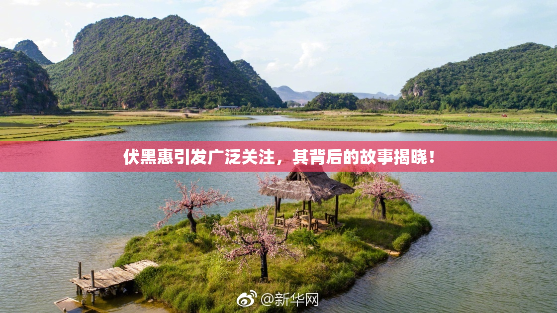 伏黑惠引发广泛关注，其背后的故事揭晓！