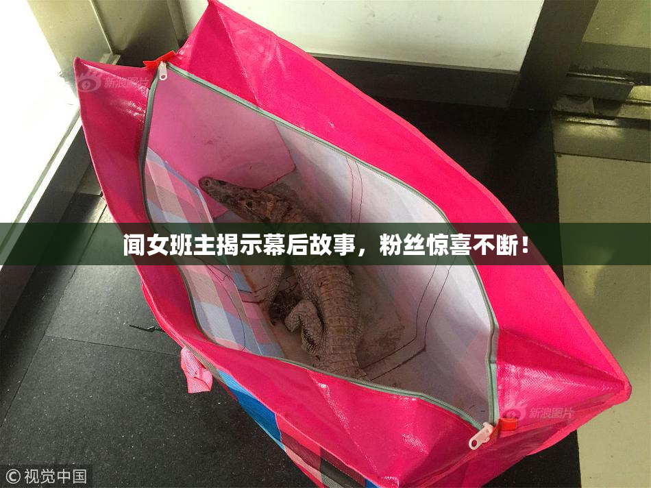 闻女班主揭示幕后故事，粉丝惊喜不断！