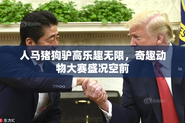 人马猪狗驴高乐趣无限，奇趣动物大赛盛况空前