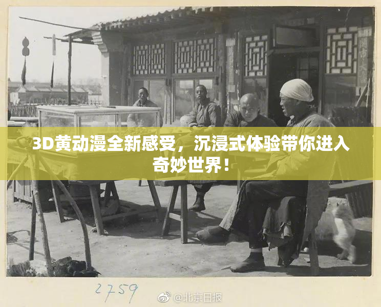 3D黄动漫全新感受，沉浸式体验带你进入奇妙世界！