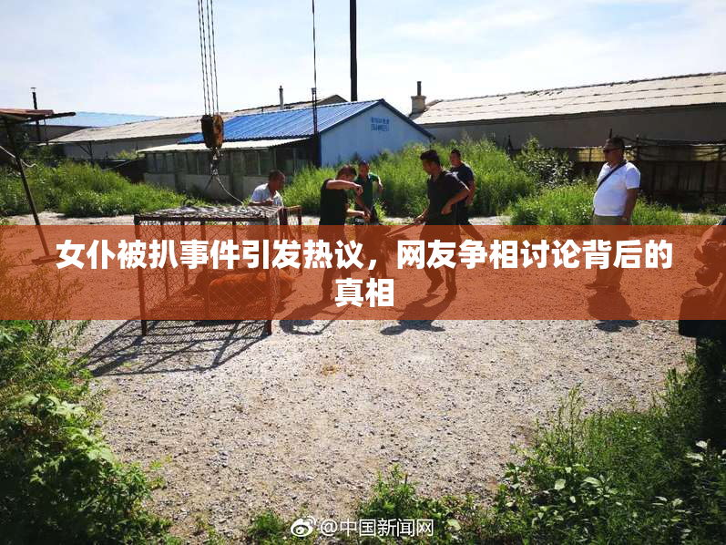 女仆被扒事件引发热议，网友争相讨论背后的真相